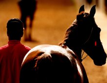 09.07 Corridas &raquo; 09.07 Corridas &raquo; matinal 031224